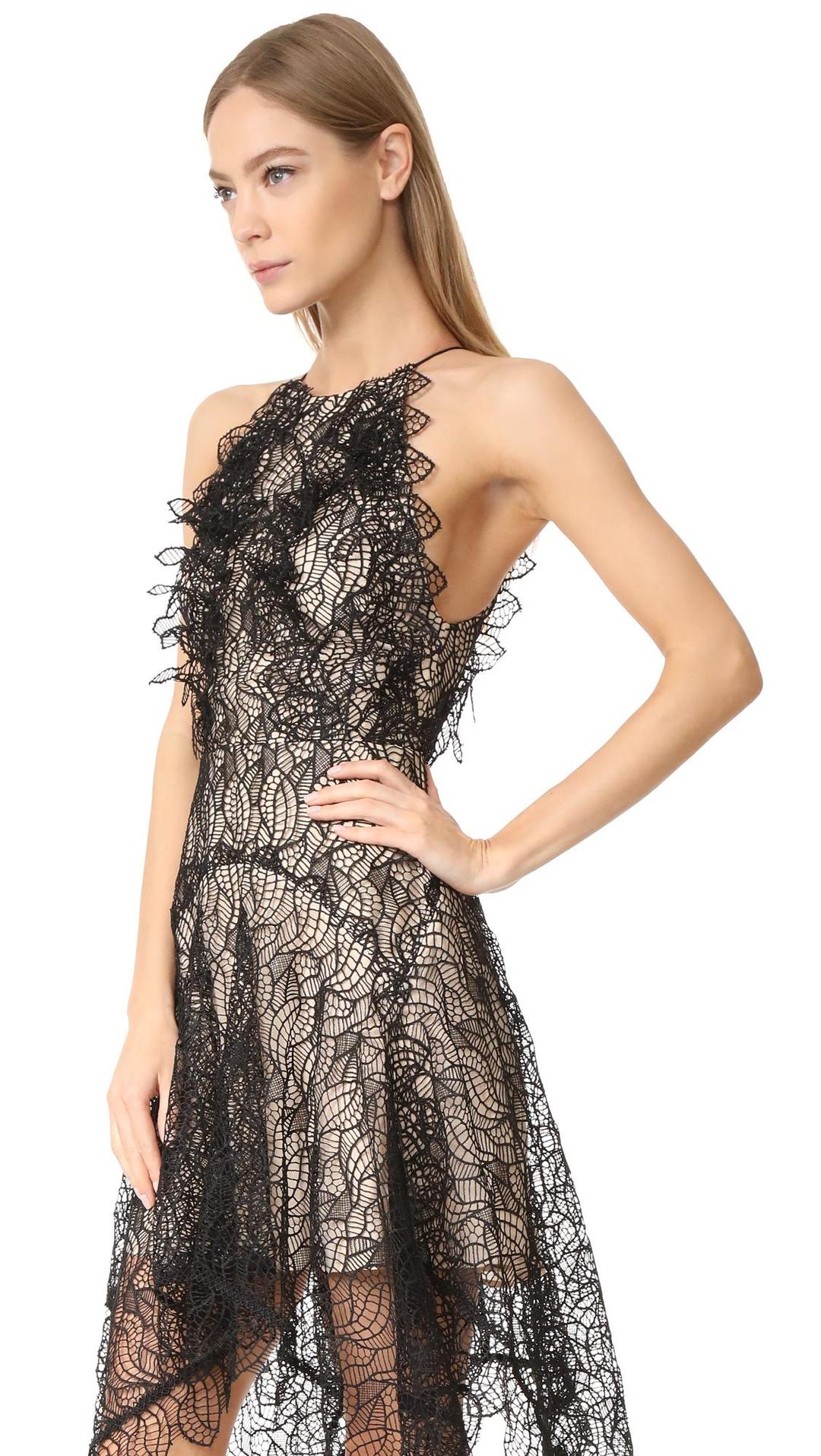 Acler Burton Lace Dress Black/Nude Size 12 for rent on The Volte - main image