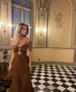 Misha Josette Midi Dress Brown Size 6 for rent on The Volte - image 4