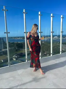 Rat & Boa Adriana Dress Multi Size 6 for rent on The Volte - image 2