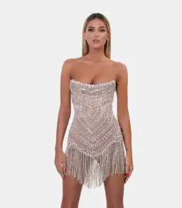 Albina Dyla Wild Corset Dress Silver/Nude Size 6 for rent on The Volte - image 2