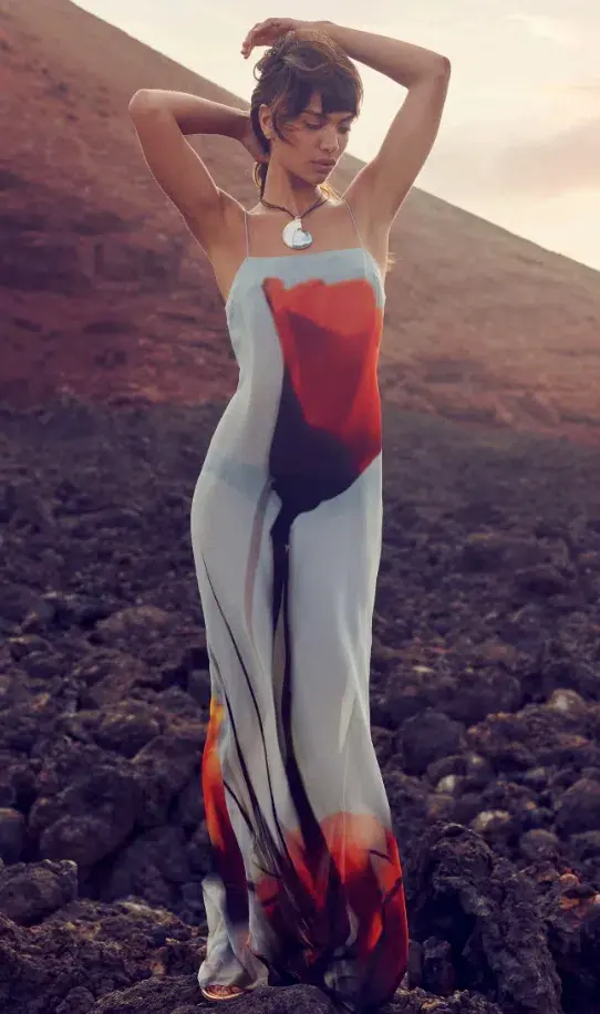 Rat & Boa Luciana Dress Multi in Size AU 8 for rent on The Volte - main image