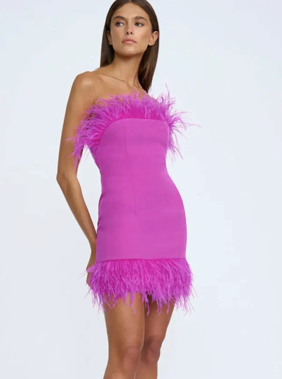 By Johnny Nadia Feather Mini Dress Pink Size 10 for rent on The Volte - main image