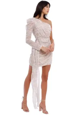 MISHA Jaylene Mini Dress Print Size 10 for rent on The Volte - image 3