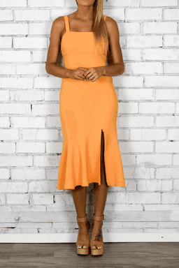 Finders Keepers Tribute Midi Sorbet for rent on The Volte - image 1