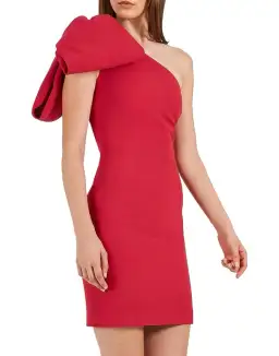 Rebecca Vallance Hamptons Bow Mini Dress Berry Size 8 for rent on The Volte - image 4