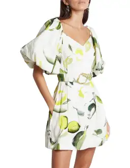 Aje Zest Mini Dress Tropical Lime Size 8 for rent on The Volte - image 4