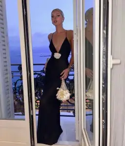 Helsa Sheer Deep V Neck Rose Dress Black Size S/Au 8 for rent on The Volte - image 3