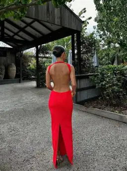 Effie Kats Valencia Dress Cherry Red Size 6 for rent on The Volte - image 3