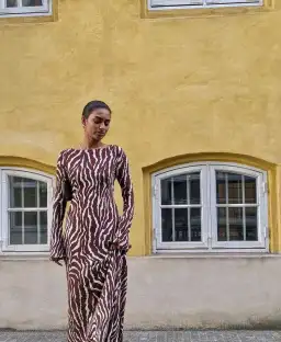 Realisation Par Gia Dress in Animal Size Small/Au 8 for rent on The Volte - image 4