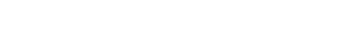 ELLE ZEITOUNE logo